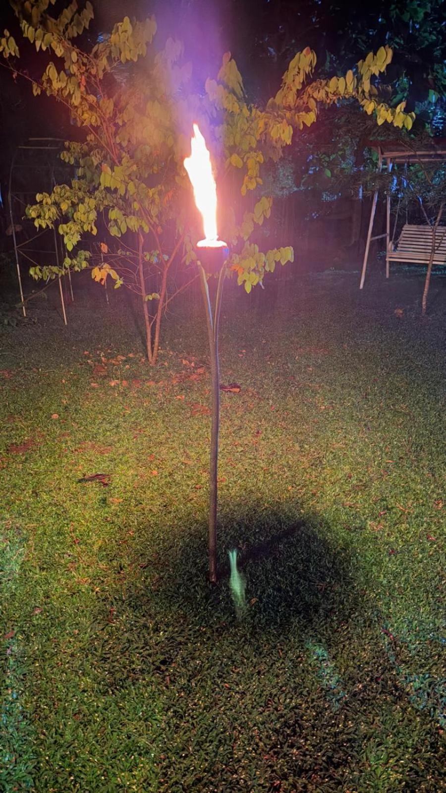 Thought Blooming Hotel Udawalawe Buitenkant foto